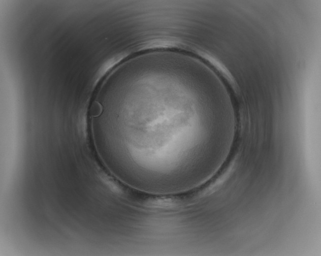 X0000113300834200909141245