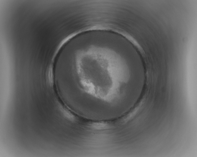 X0000113300838200909141245
