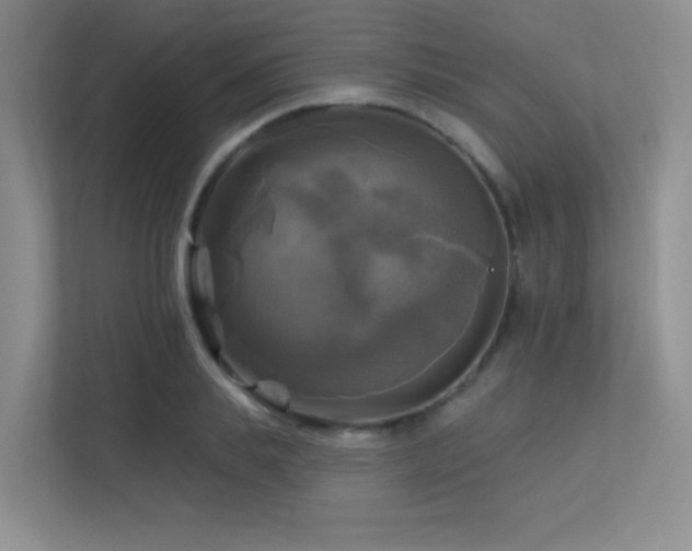 X0000113300839200909141245