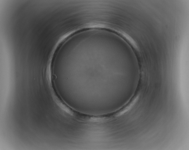 X0000113300840200909141245
