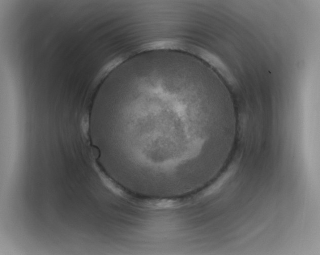 X0000113300841200909141245