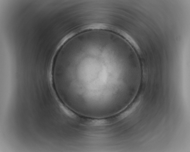 X0000113300845200909141245