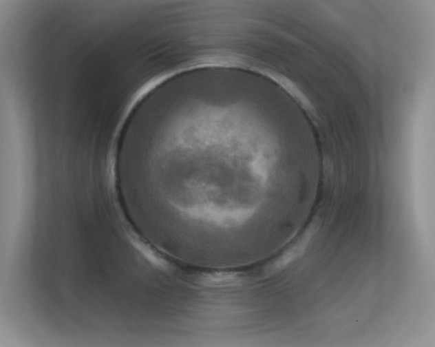 X0000113300846200909141245