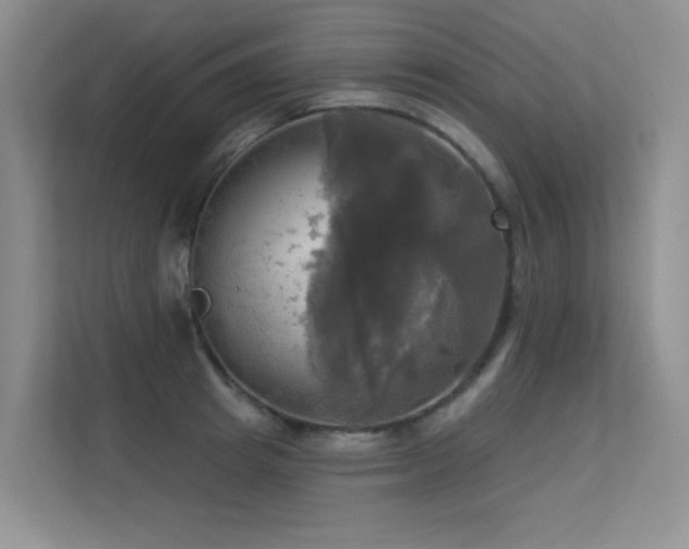X0000113300849200909141245