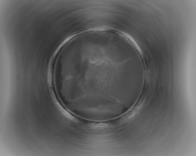 X0000113300851200909141245