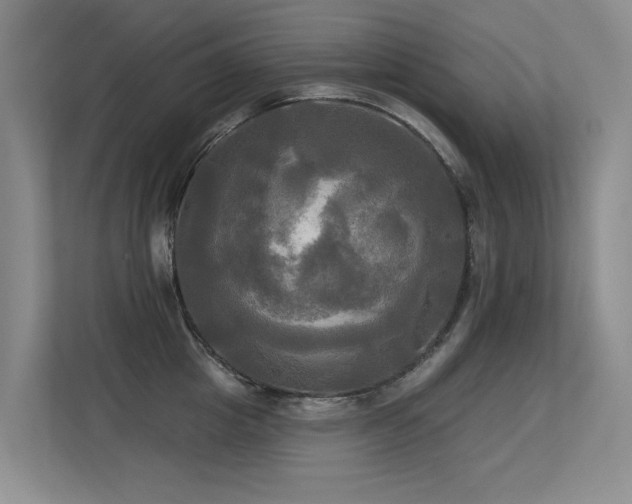 X0000113300857200909141245