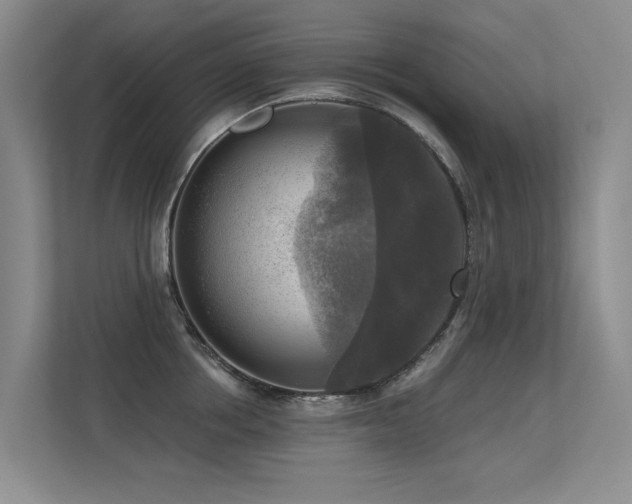 X0000113300858200909141246