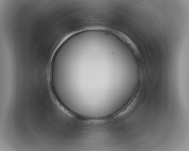 X0000113300860200909141246