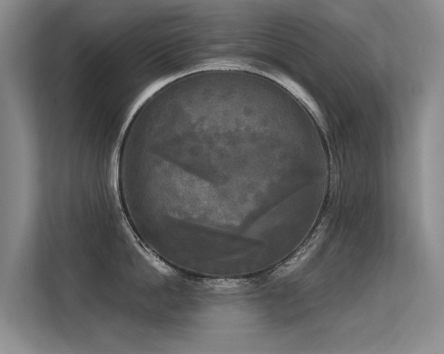 X0000113300862200909141246