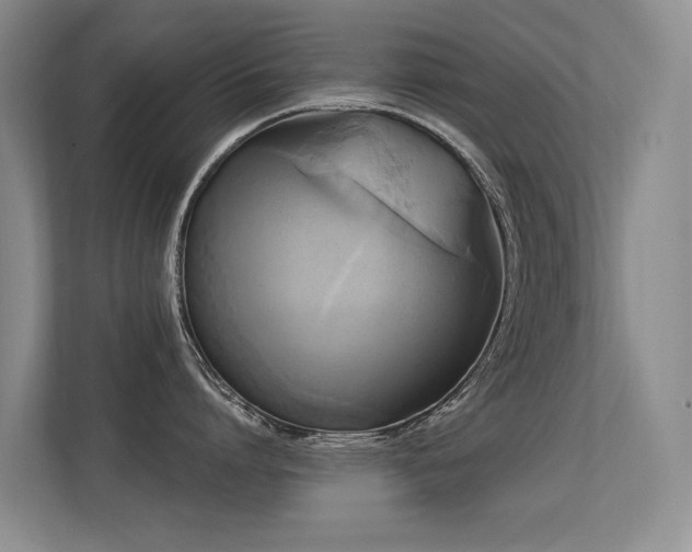 X0000113300864200909141246