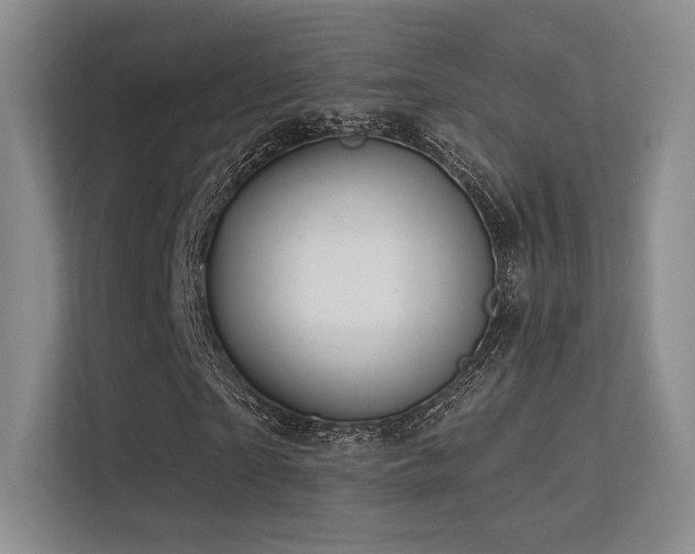 X0000113300865200909141245