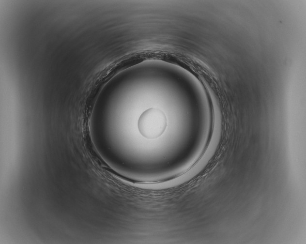 X0000113300869200909141245