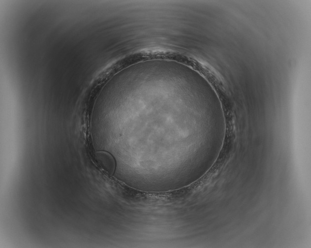 X0000113300870200909141245