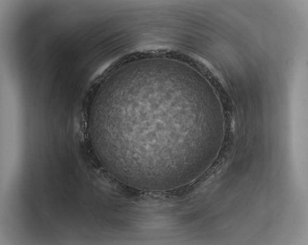 X0000113300871200909141245
