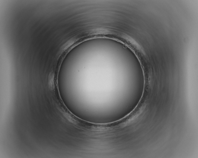 X0000113300873200909141245