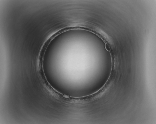 X0000113300876200909141245