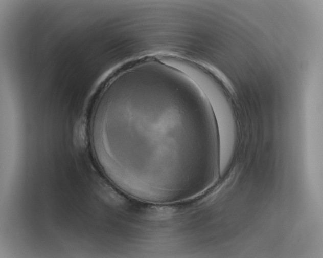 X0000113300878200909141245