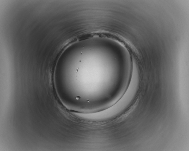 X0000113300881200909141245