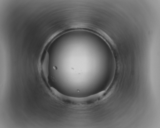 X0000113300885200909141245