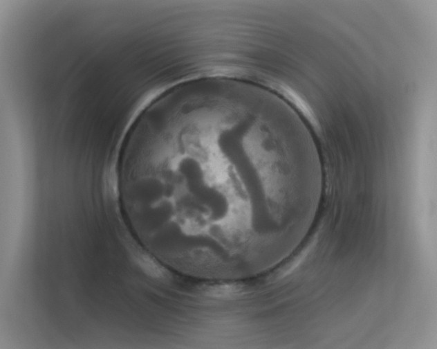 X0000113300891200909141245