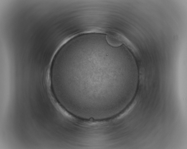 X0000113300892200909141245