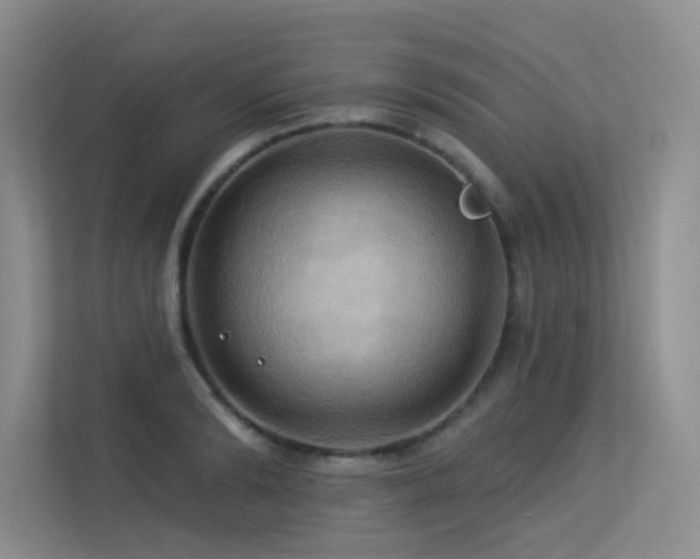 X0000113300894200909141245