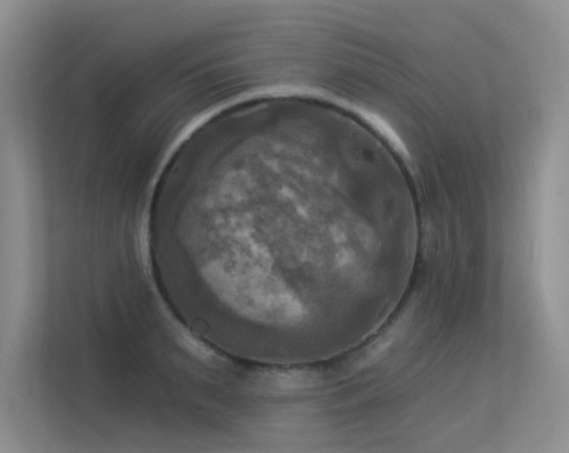 X0000113300895200909141245