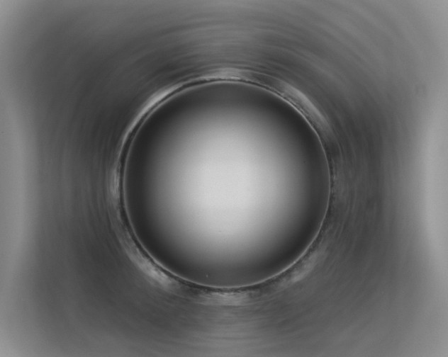 X0000113300900200909141244