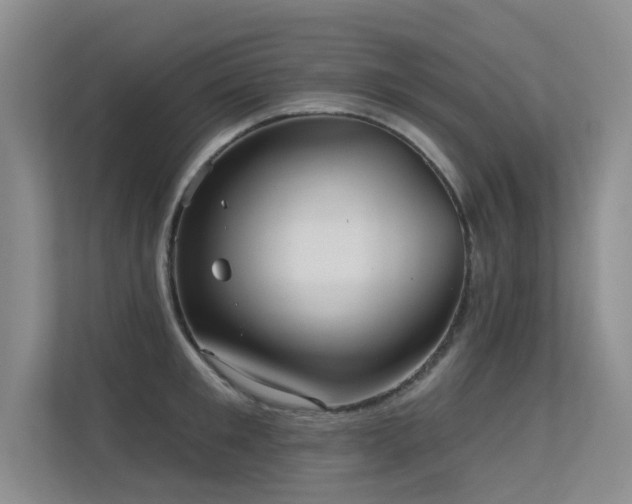 X0000113300901200909141244
