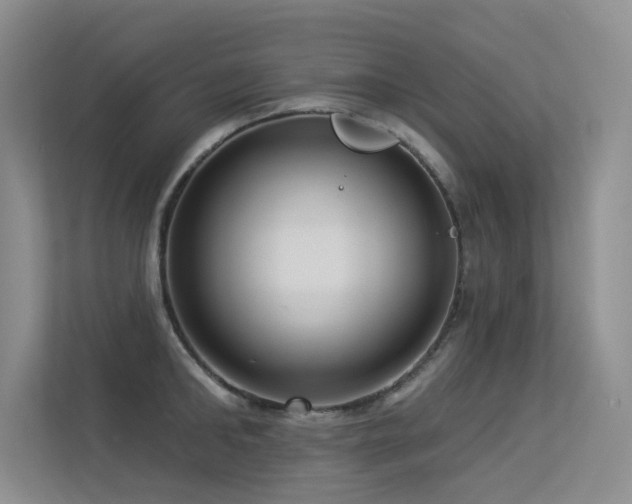X0000113300902200909141244