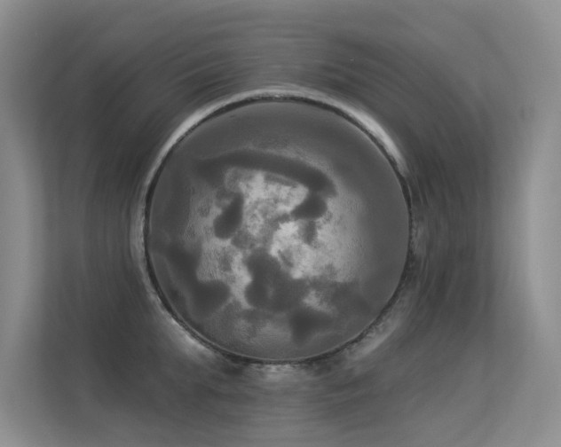 X0000113300903200909141244