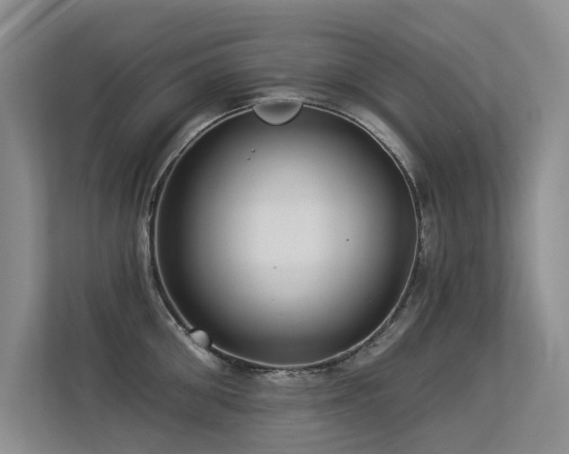 X0000113300906200909141244