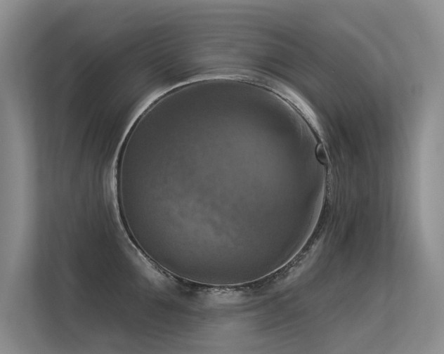 X0000113300907200909141244