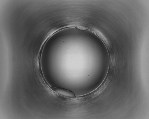 X0000113300908200909141244