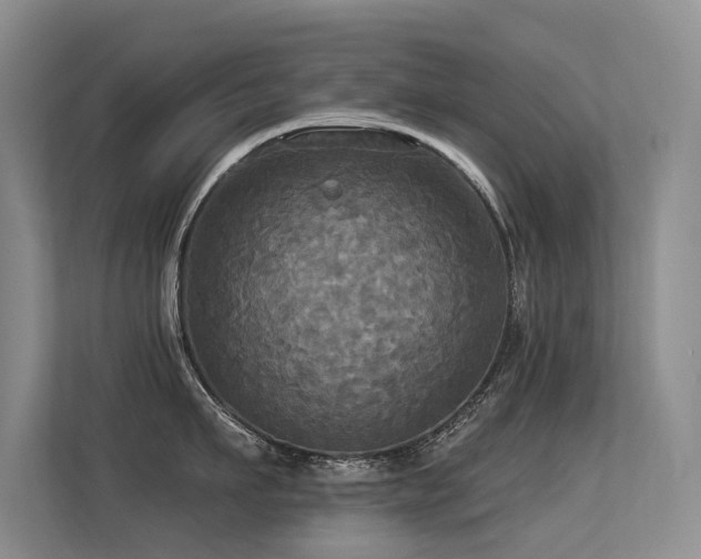 X0000113300911200909141244
