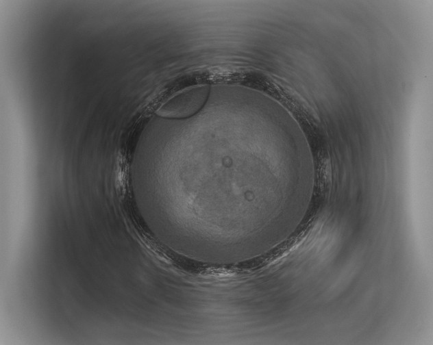 X0000113300914200909141244