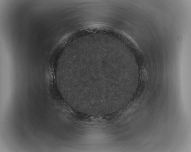 X0000113300918200909141244