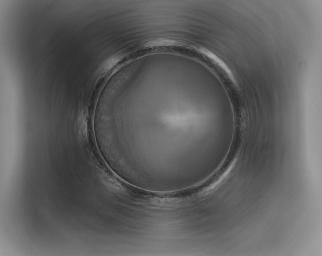 X0000113300921200909141244