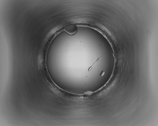 X0000113300922200909141244