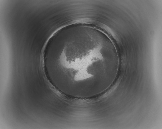 X0000113300923200909141244