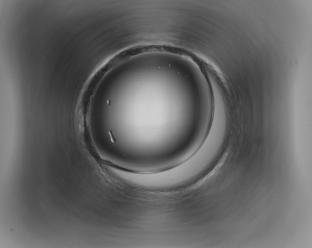 X0000113300925200909141244