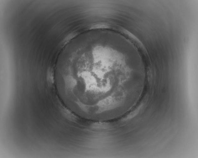X0000113300929200909141244