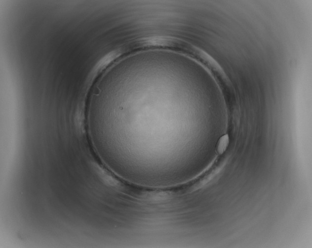 X0000113300930200909141244