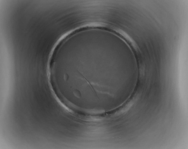 X0000113300935200909141244