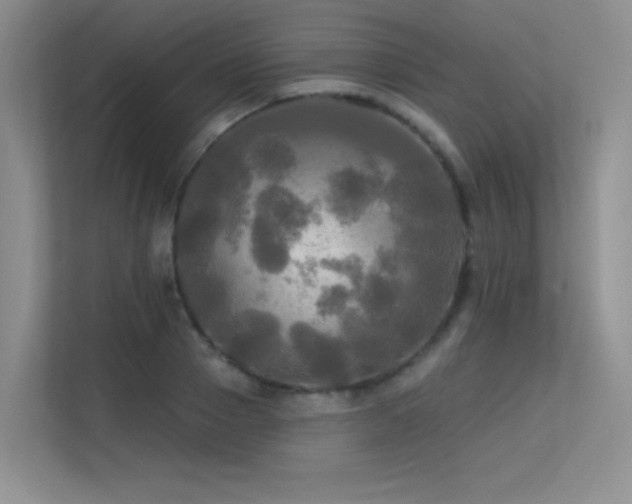 X0000113300937200909141244