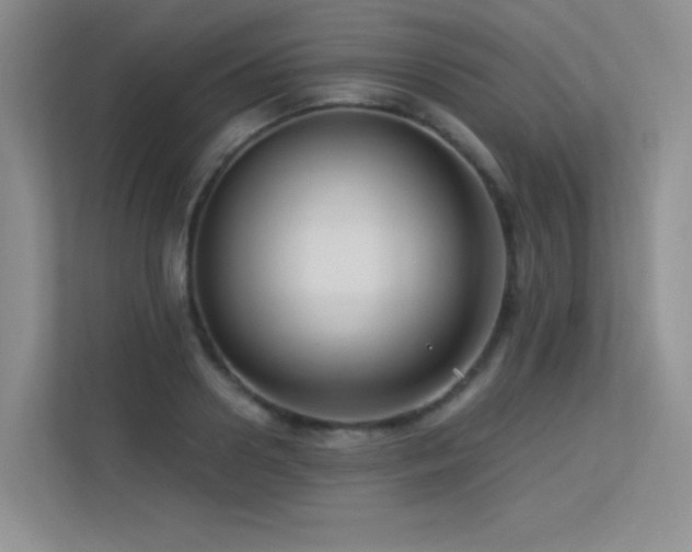 X0000113300938200909141244