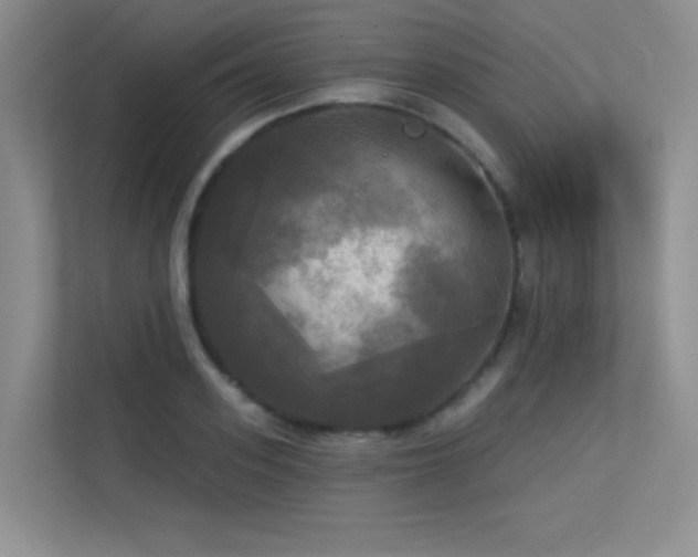 X0000113300939200909141244
