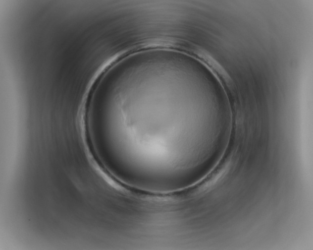 X0000113300941200909141244
