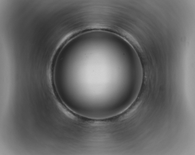 X0000113300942200909141244