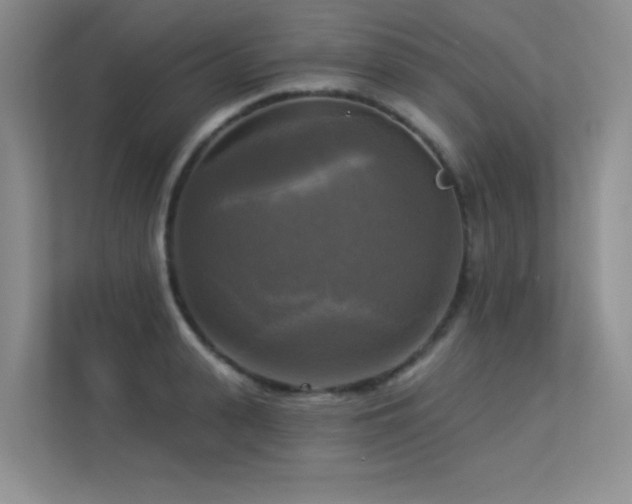X0000113300943200909141244